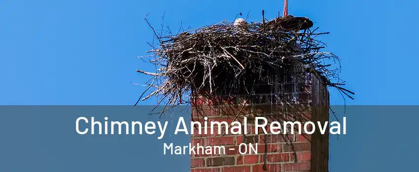 Chimney Animal Removal Markham - ON