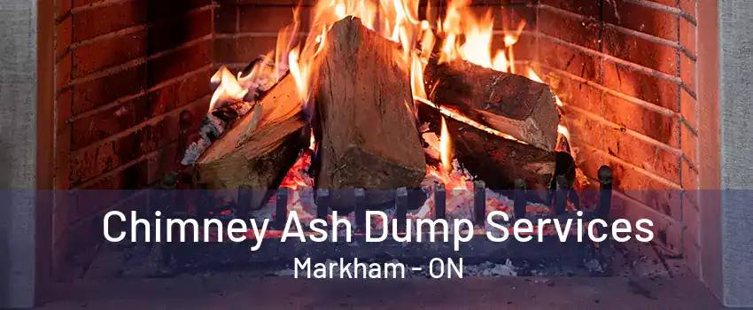 Chimney Ash Dump Services Markham - ON