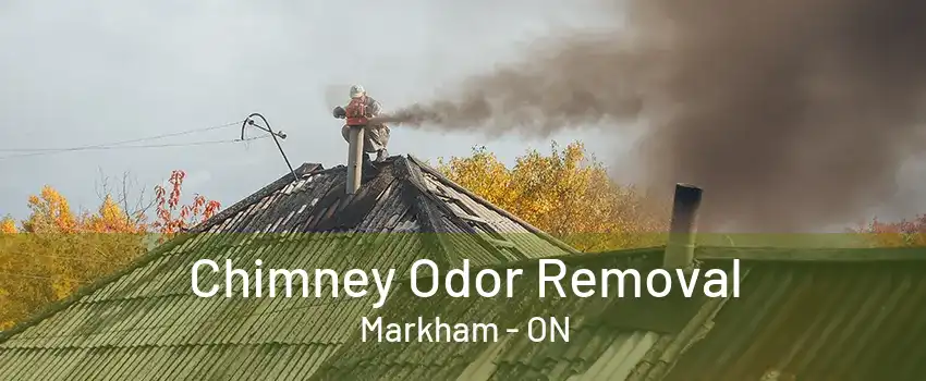 Chimney Odor Removal Markham - ON