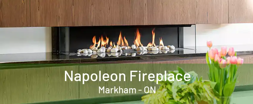 Napoleon Fireplace Markham - ON